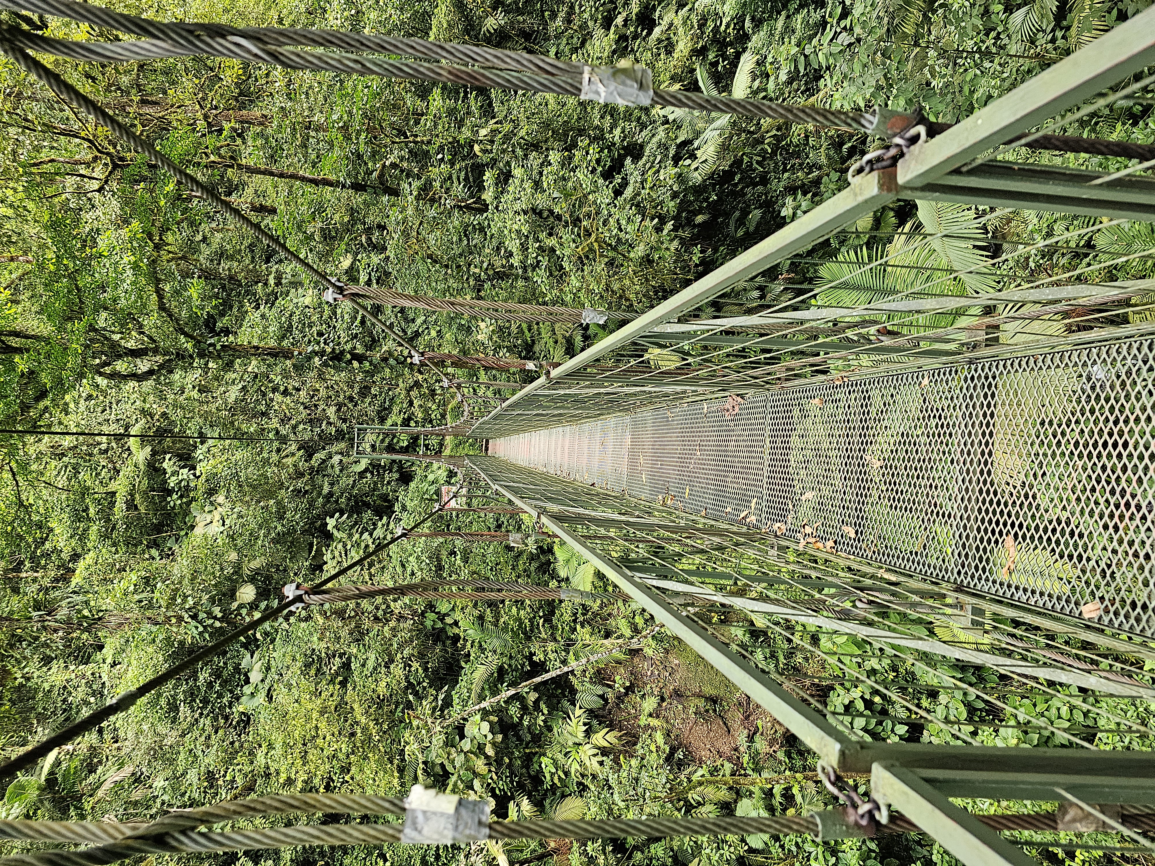 La Fortuna, Costa Rica — Hanging Bridges, 2023